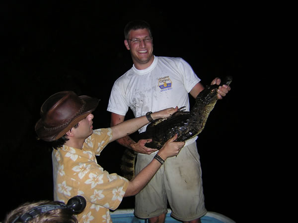  Caiman crocodilus ID = 