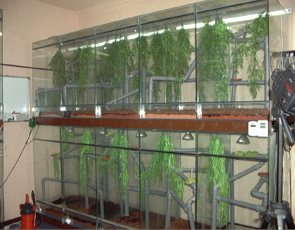  Terrarienanlage 1 ID = 