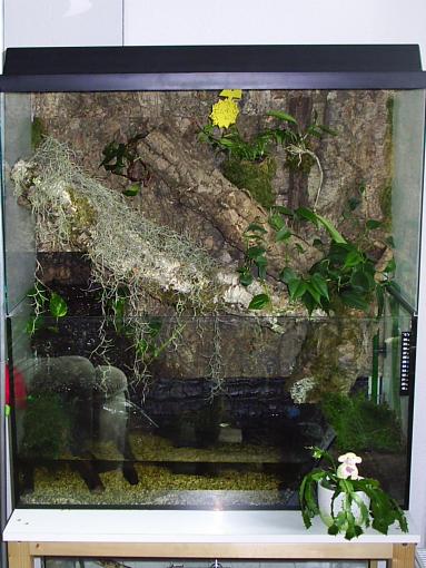  Aquaterrarium ID = 