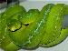 Lereh Morelia Viridis