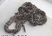 Crotalus oreganus cerberus Crotalus oreganus cerberus
