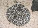 Crotalus oreganus helleri Crotalus oreganus helleri